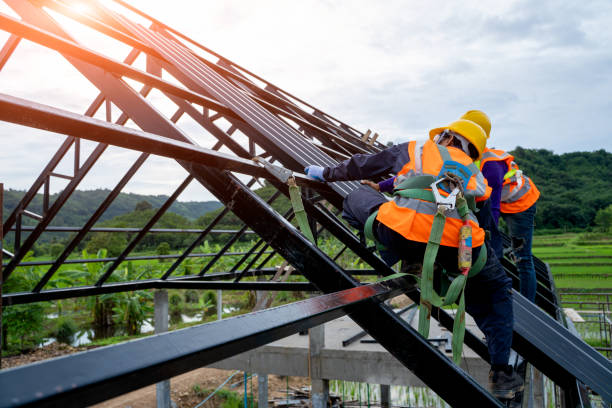 Best Roof Gutter Cleaning  in San Antonio, FL