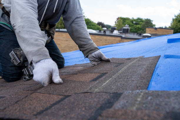 Roof Waterproofing Services in San Antonio, FL