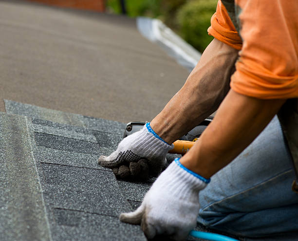 Best Flat Roof Repair Services  in San Antonio, FL
