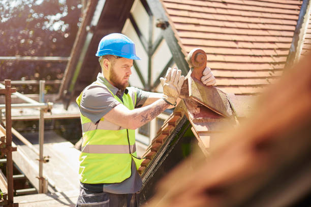 Best Local Roofing Companies  in San Antonio, FL