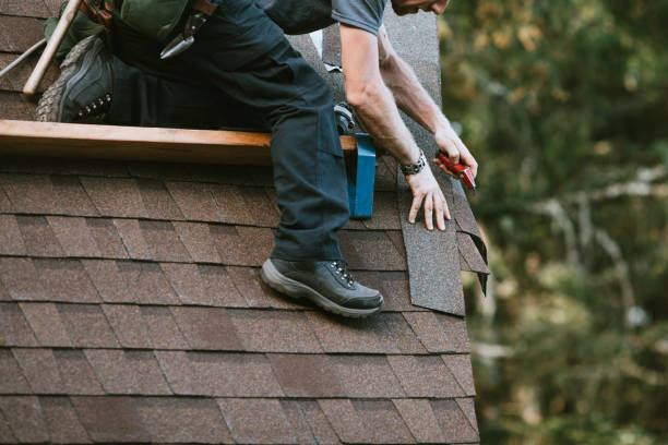 Best New Roof Installation  in San Antonio, FL