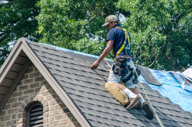 Reliable San Antonio, FL Roofing Contractor Solutions
